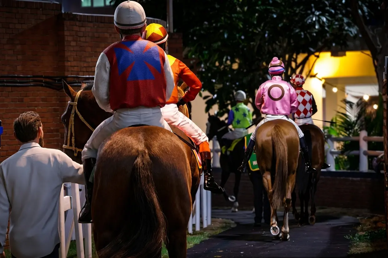 Experience the South African Spirit with Braai, Beats & Gallops at Hollywoodbets Greyville — Horse Racing news photo, South Africa